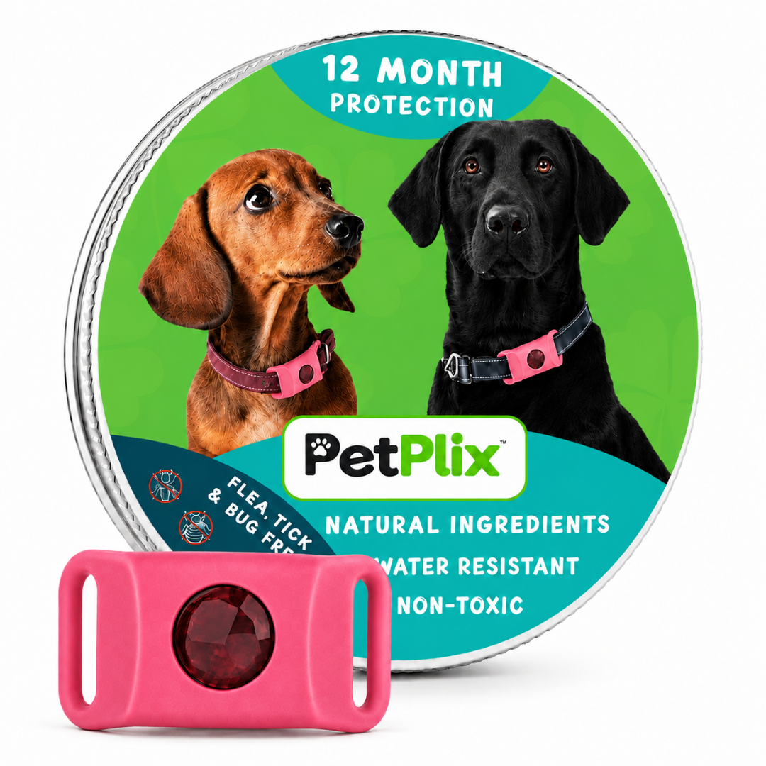 PetPlix™ Colgante Antipulgas y Antigarrapatas Natural de 12 Meses