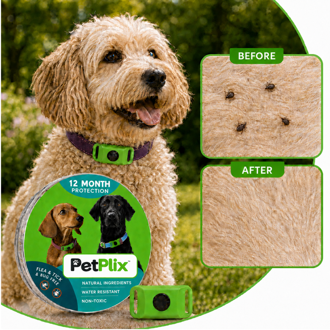 PetPlix™ Colgante Antipulgas y Antigarrapatas Natural de 12 Meses